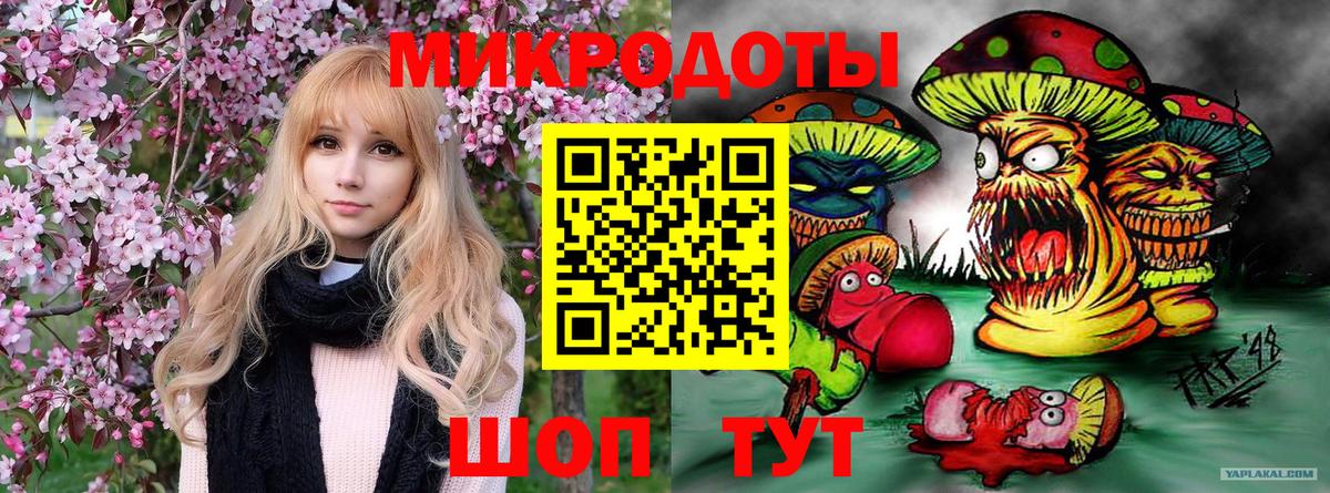 Псилоцибиновые грибы Psilocybine cubensis Хасавюрт