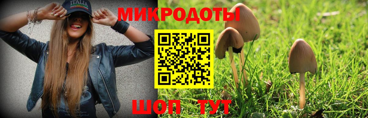 Псилоцибиновые грибы прущие грибы  Вход с VPN  Хасавюрт 